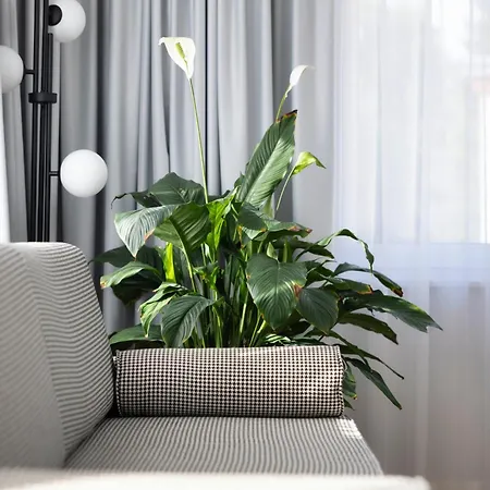 住宿加早餐酒店 Anaberg