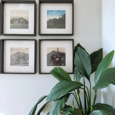 Anaberg 住宿加早餐酒店 3*