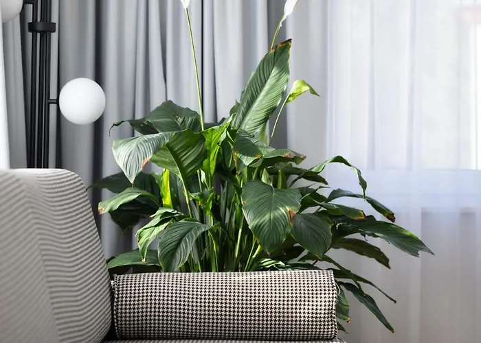 Bed & Breakfast Anaberg